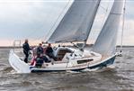 Pointer 30