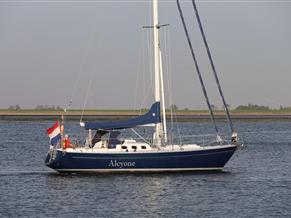 Koopmans 40