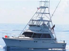 Bertram 42 Sportfish