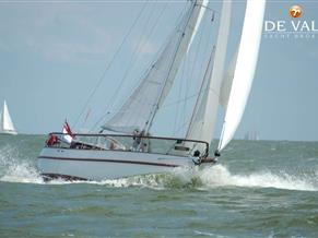 Danish Rose 31