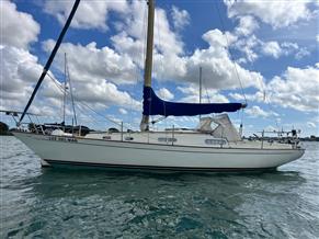 Contessa 32