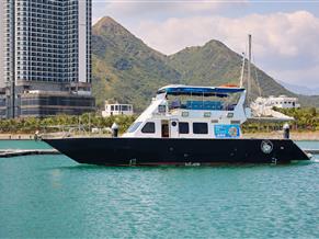 Tan Vien Dong Custom