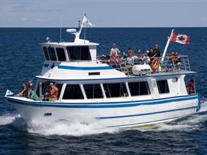 Custom Built 1978/2000 14.39m x 4.82m x 1.71m Aluminum 46 PAX, Twin Screw, Double Deck Passenger Boat