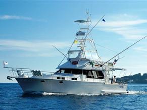 Angel Marine 52 Sportfisher