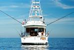 Angel Marine 52 Sportfisher